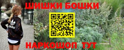 spice Кинель