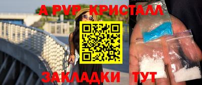 гидра Кингисепп