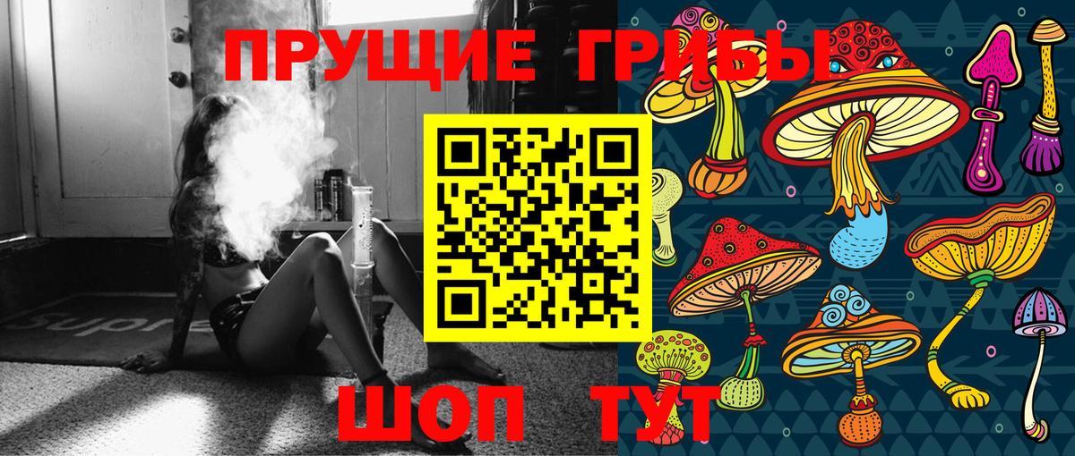 Галлюциногенные грибы Psilocybe Качканар